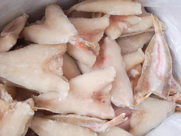 紅頭魚(yú)片